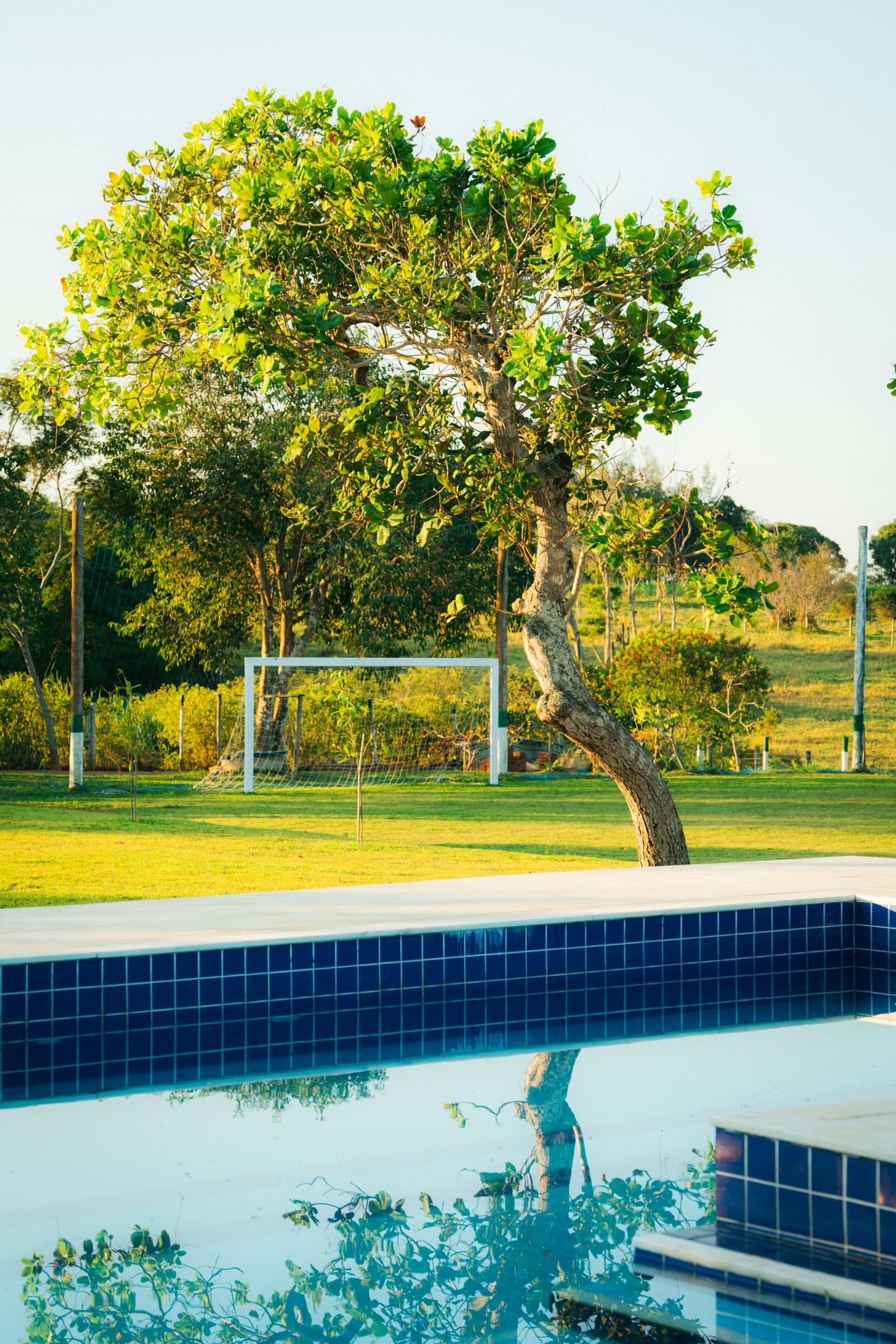 Astonia Landscaping project