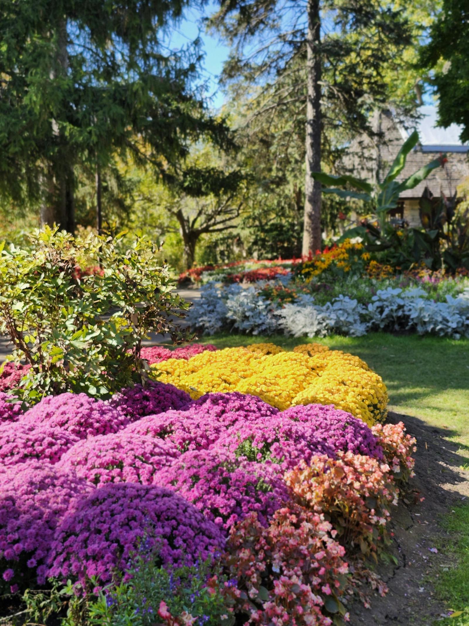 Astonia Landscaping project