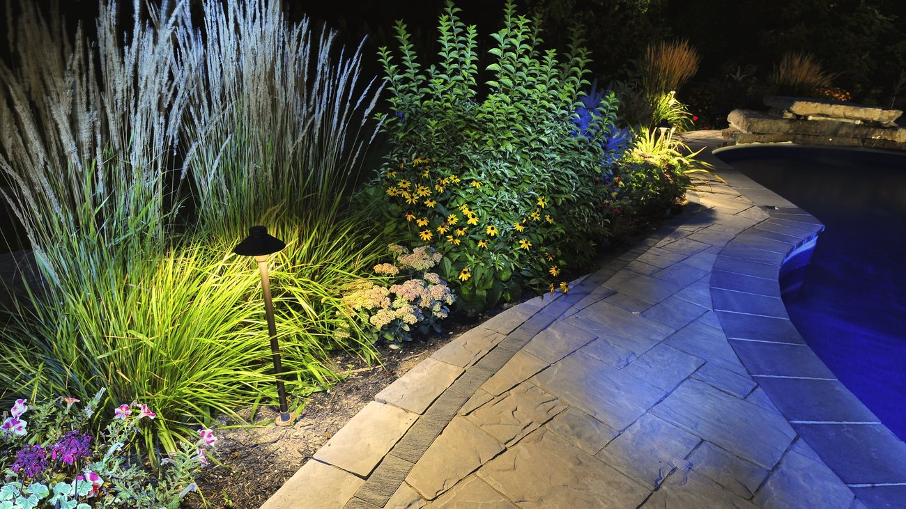Lush softscape garden planting